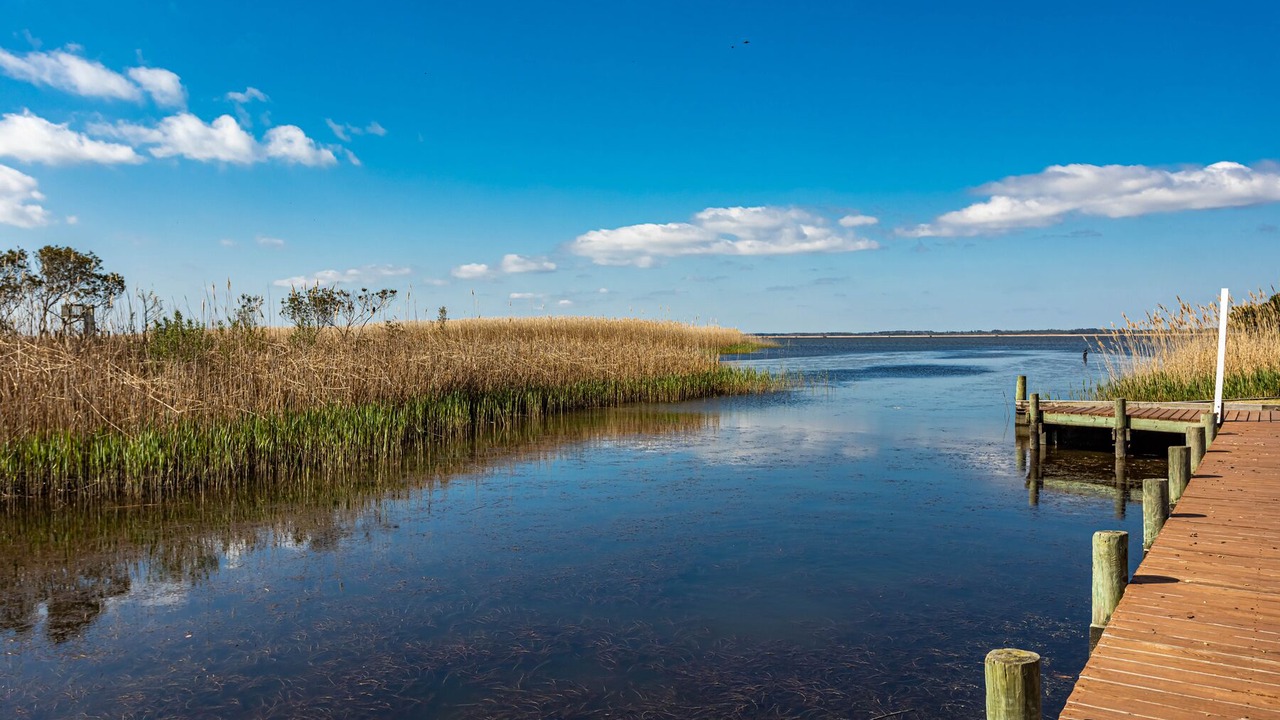 Photo of Outdoor in Sandbridge