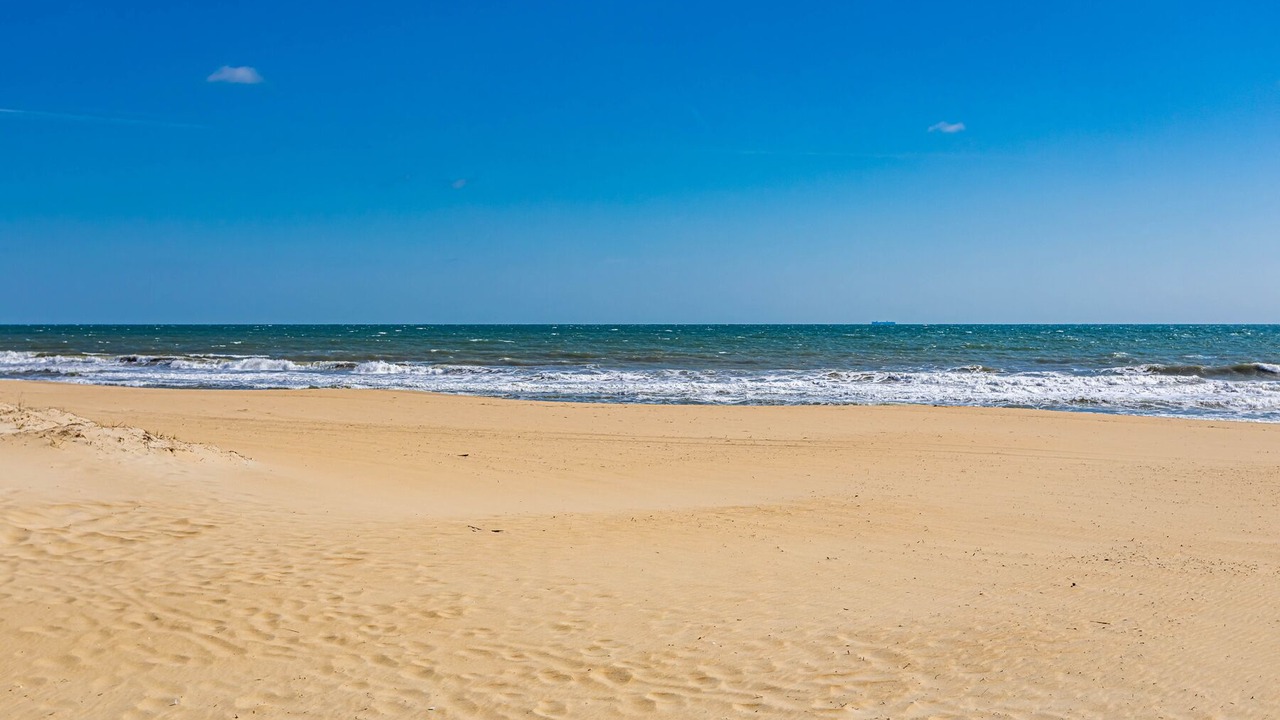 Photo of Others in Sandbridge