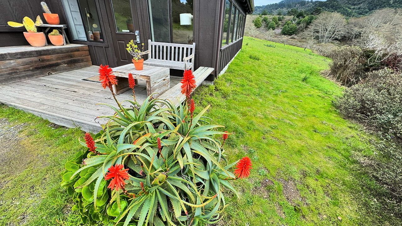Photo of Patio Balcony in Point Reyes Station