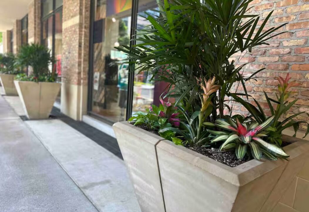 Photo of Outdoor in Memorial