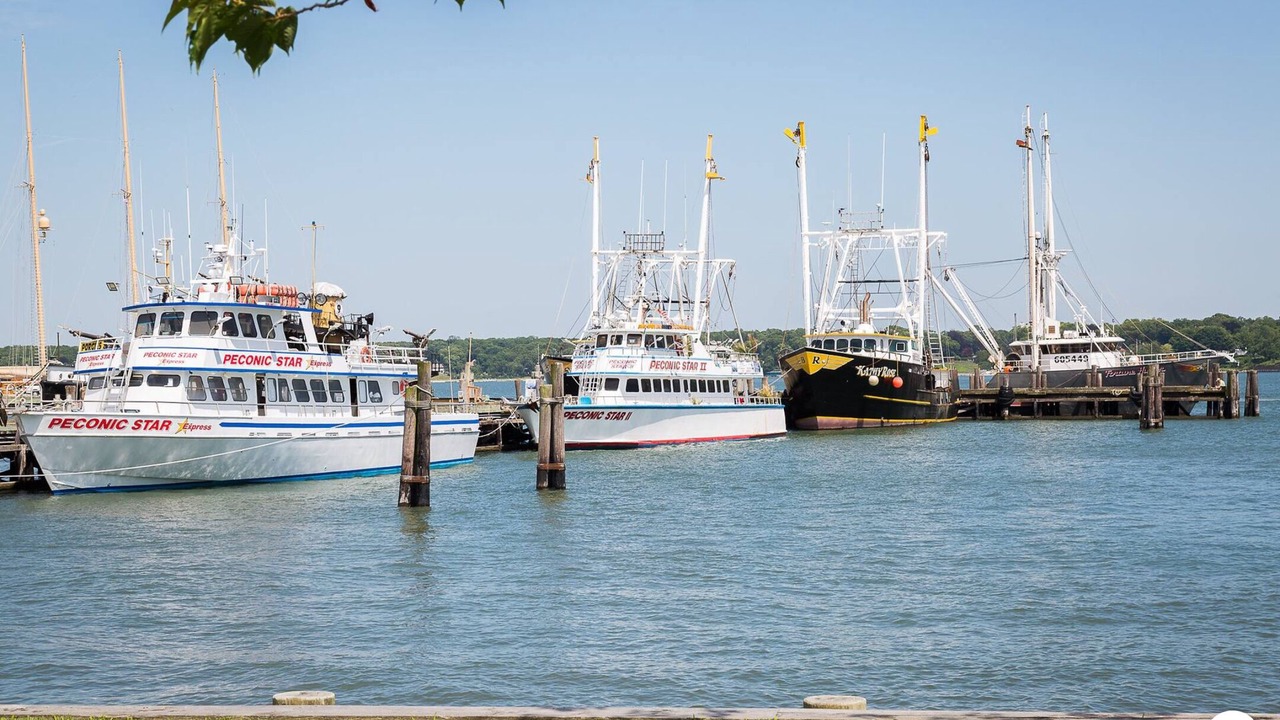 Photo of Others in Greenport