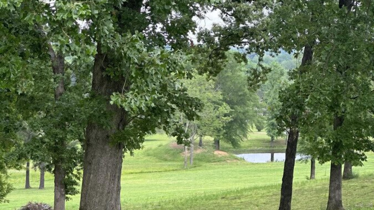 Photo of Others in Dardanelle