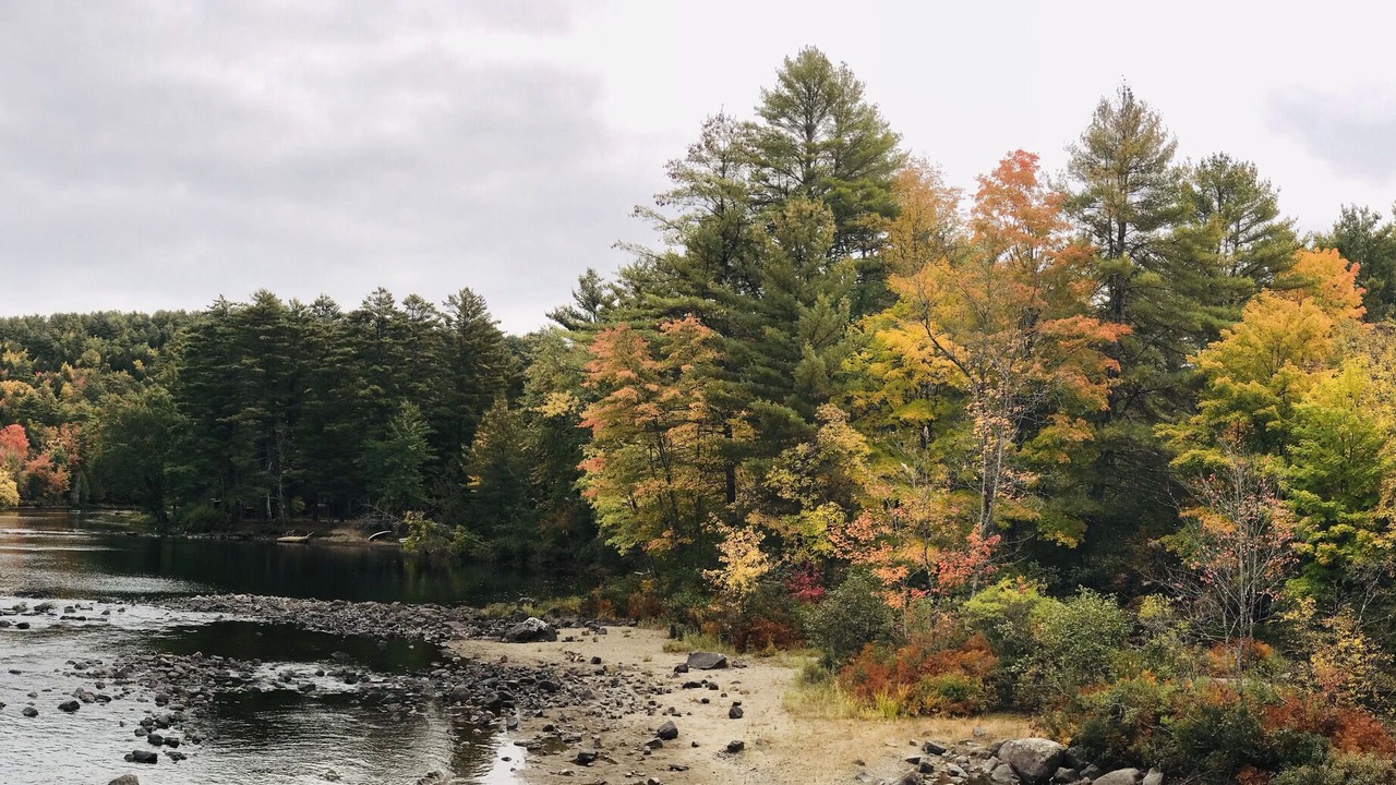 Photo of Others in Adirondack