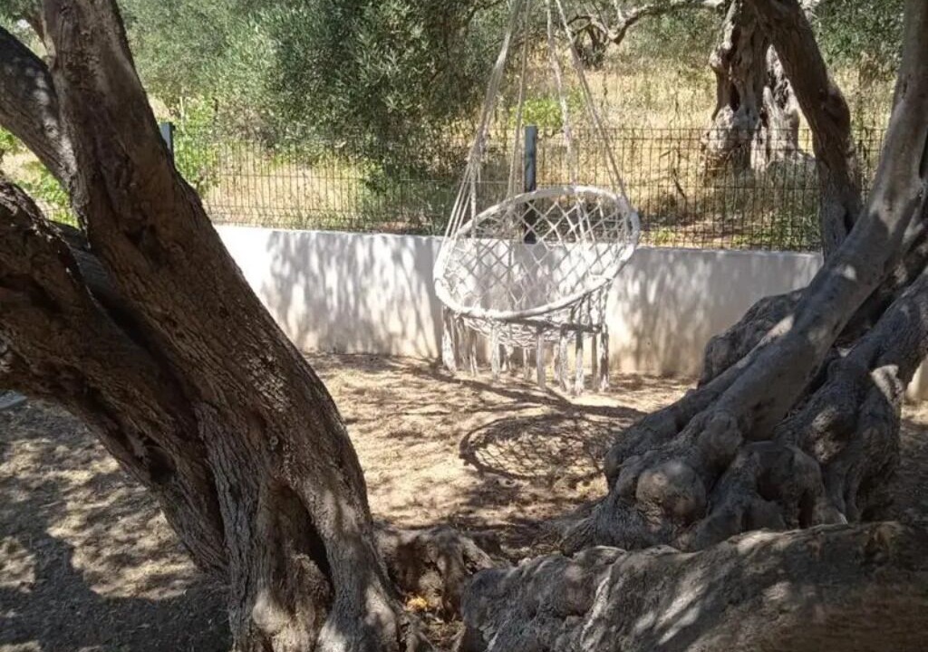 Photo of Outdoor in Grebastica