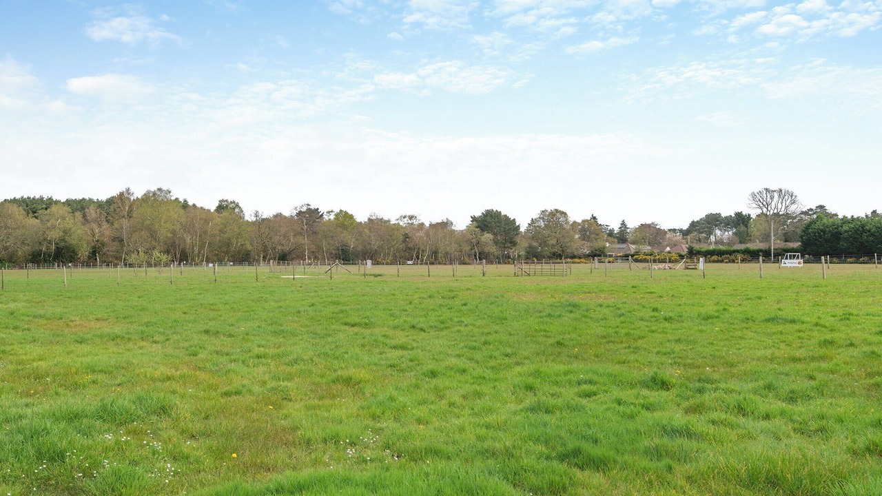 Photo of Others in St Leonards