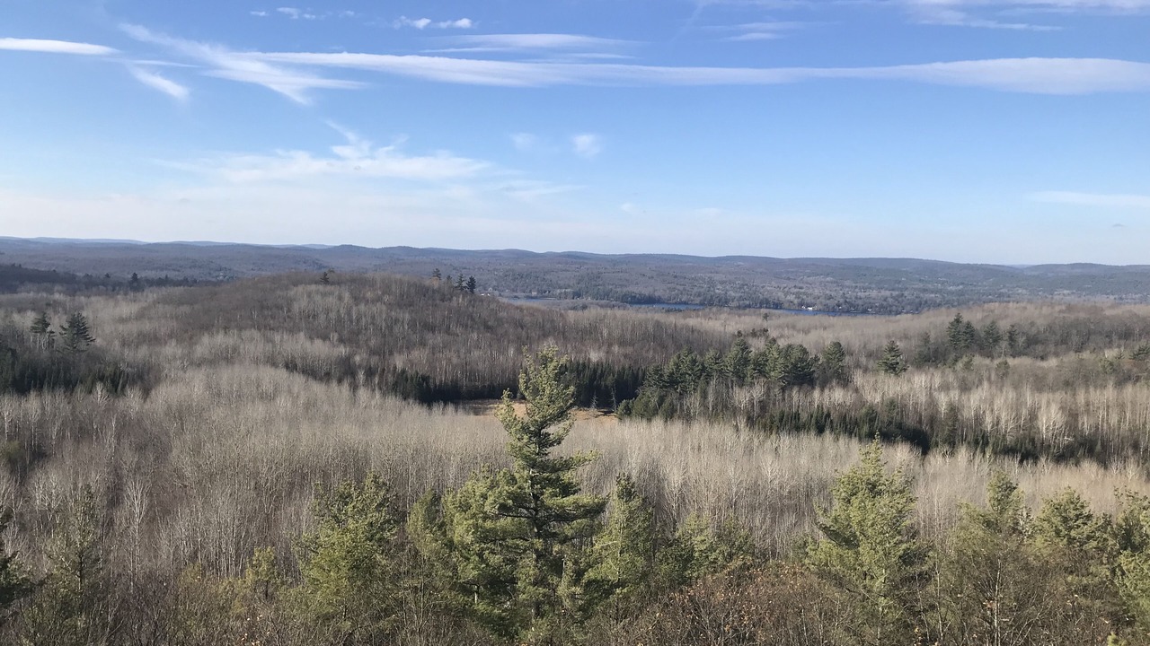 Photo of Others in Lanark Highlands