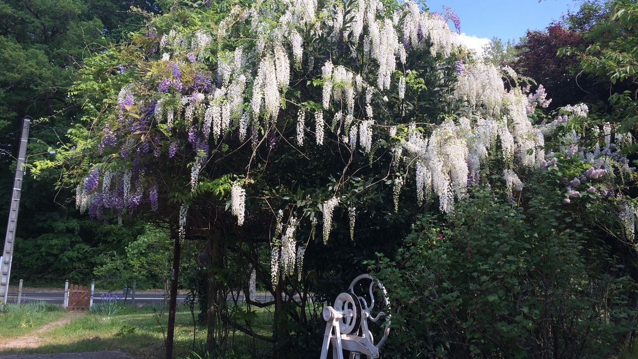 Photo of Outdoor in Bracieux