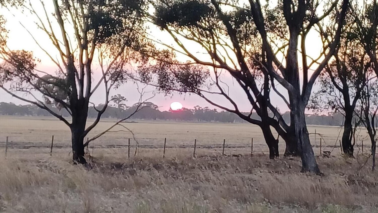 Photo of Others in Wal Wal