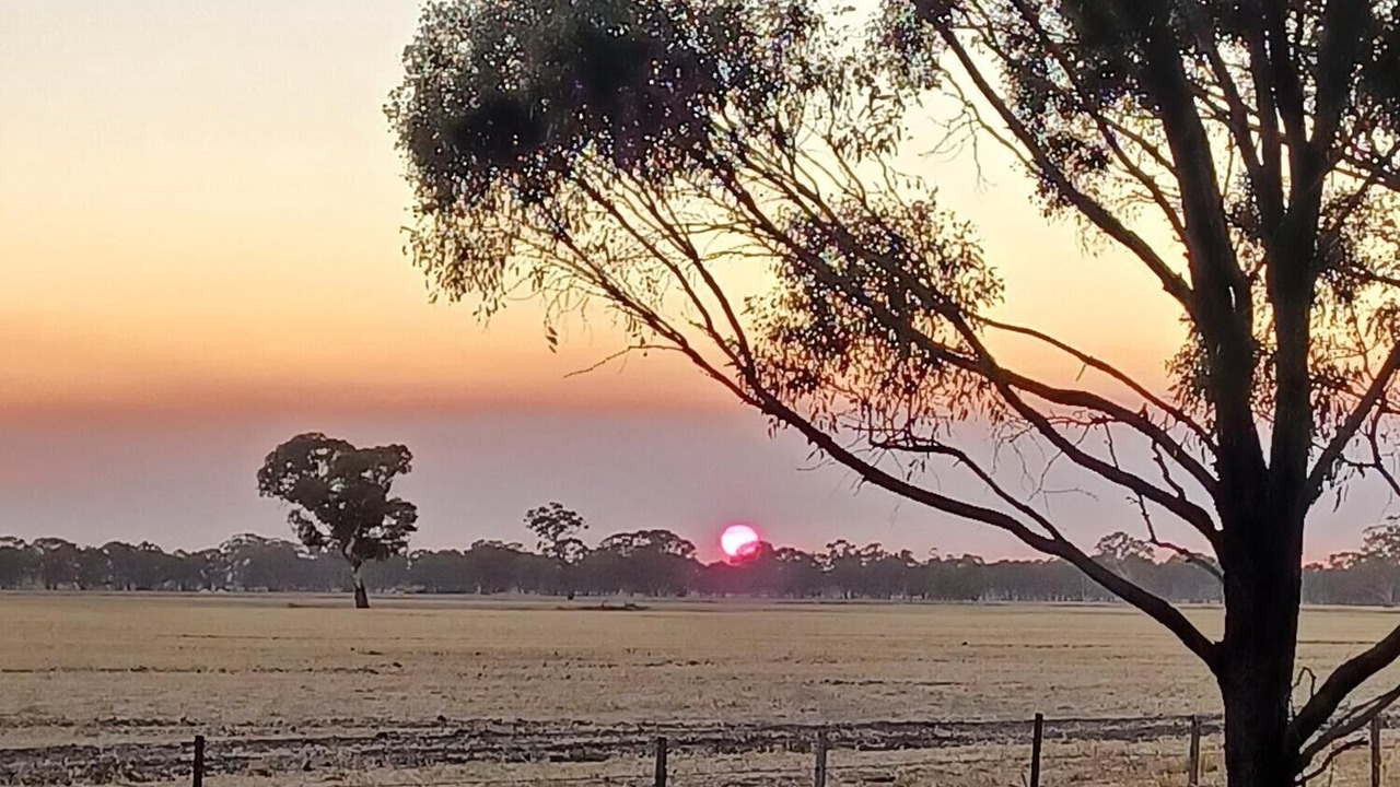 Photo of Others in Wal Wal