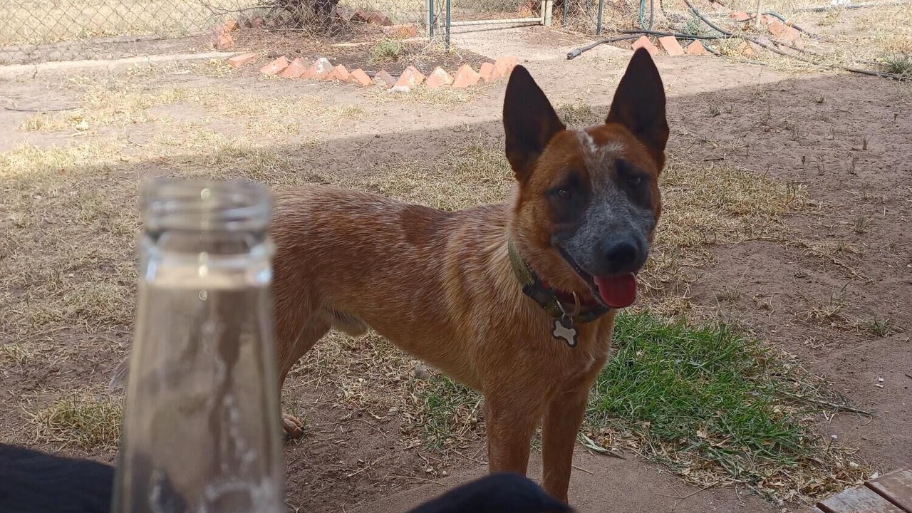 Photo of Outdoor in Wal Wal