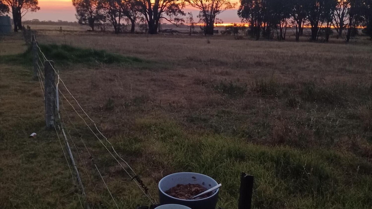 Photo of Outdoor in Wal Wal