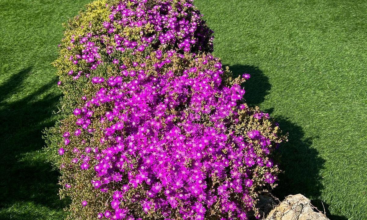 Photo of Outdoor in Mont Barbat