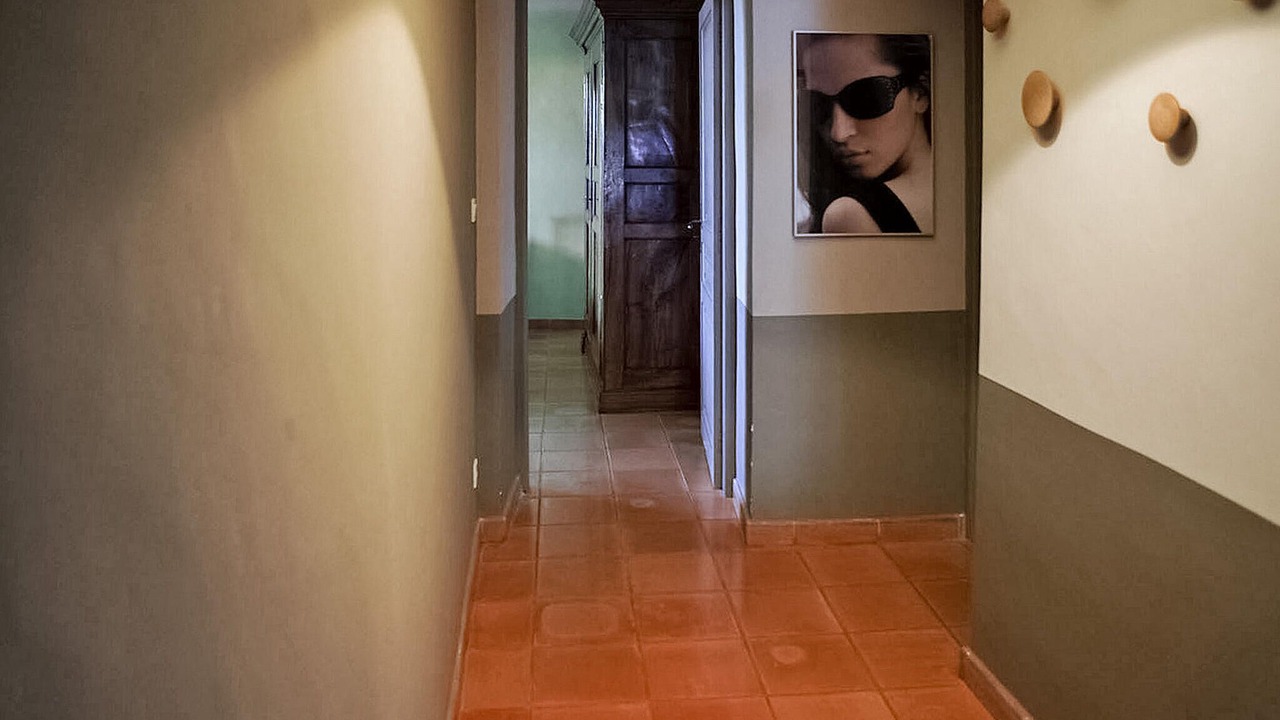 Photo of Others in Violes