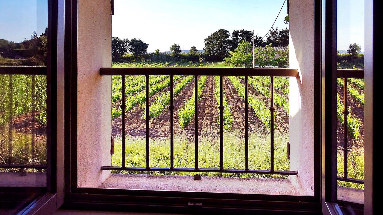 Photo of Bedroom in Violes