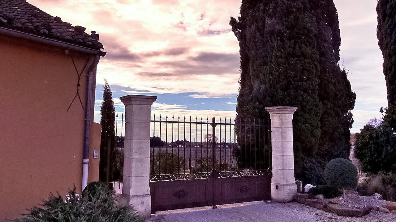 Photo of Others in Violes