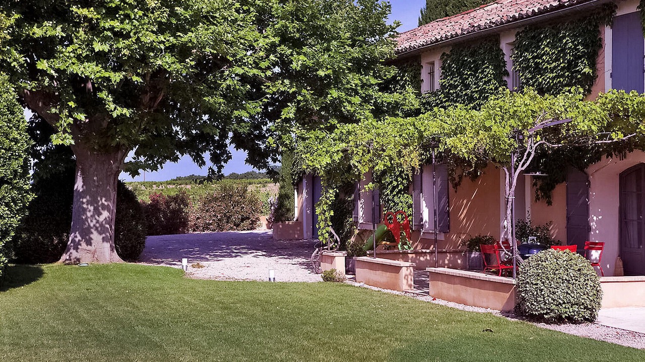 Photo of Others in Violes