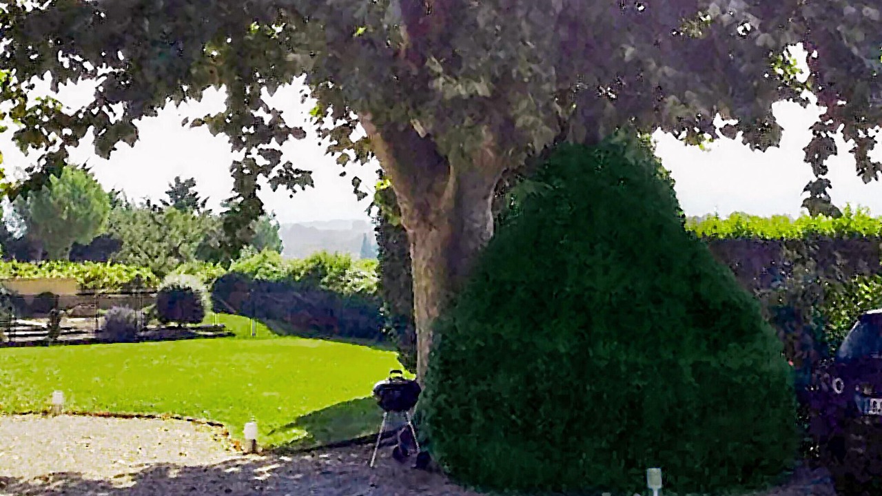 Photo of Others in Violes