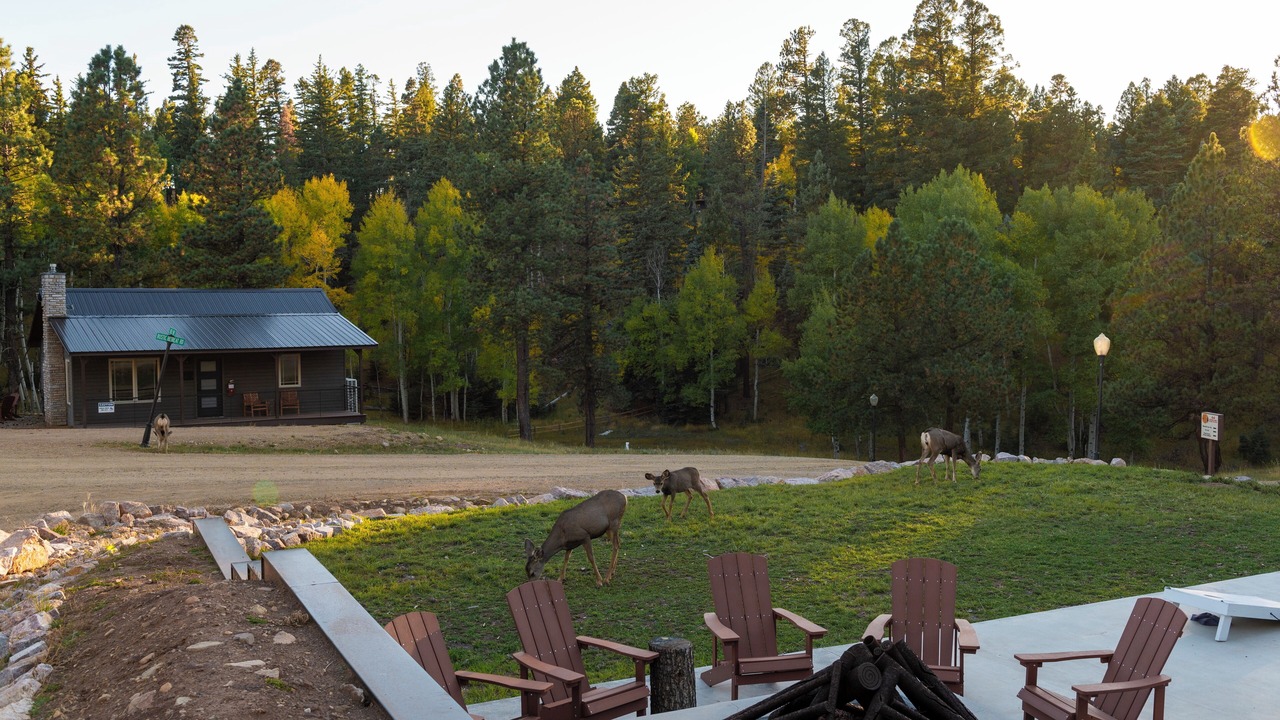 Photo of Outdoor in Angel Fire