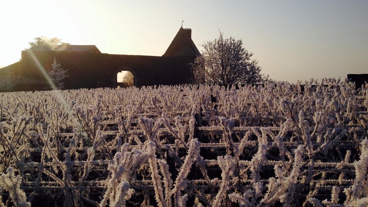 Photo of Others in Leynes