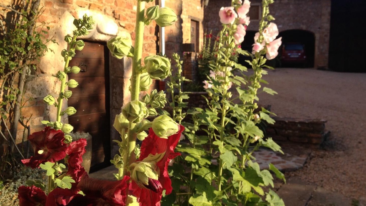 Photo of Outdoor in Leynes