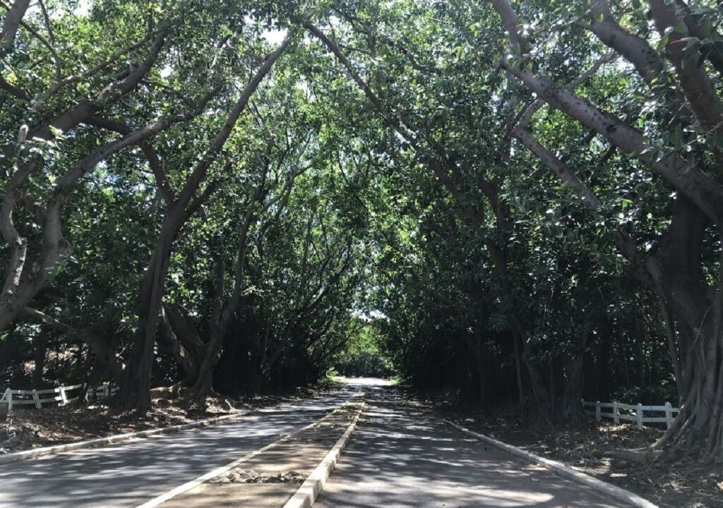 Photo of Outdoor in Hanamaulu