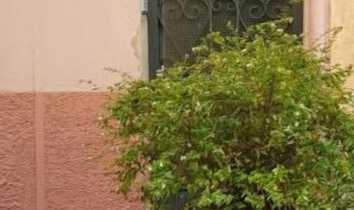Photo of Outdoor in Tremp