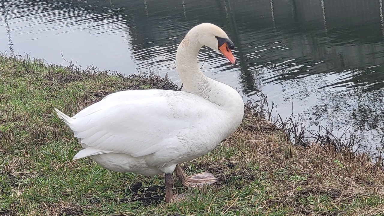 Photo of Outdoor in Vierzon
