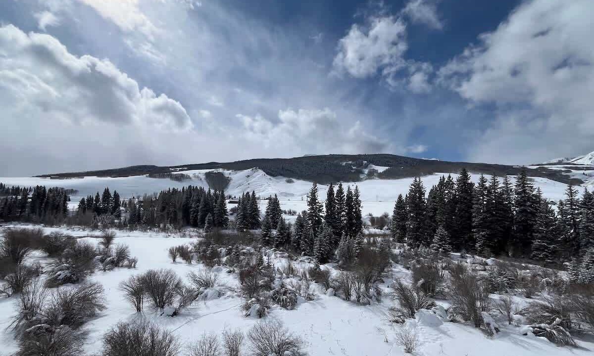 Photo of Others in Crested Butte South