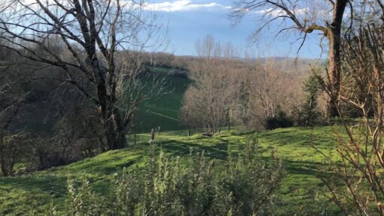 Photo of Outdoor in Saint-Pierre-de-Trivisy