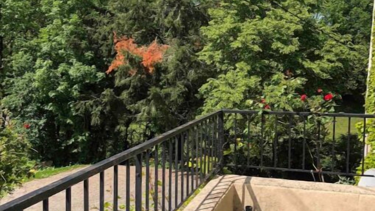 Photo of Patio Balcony in Saint-Pierre-de-Trivisy
