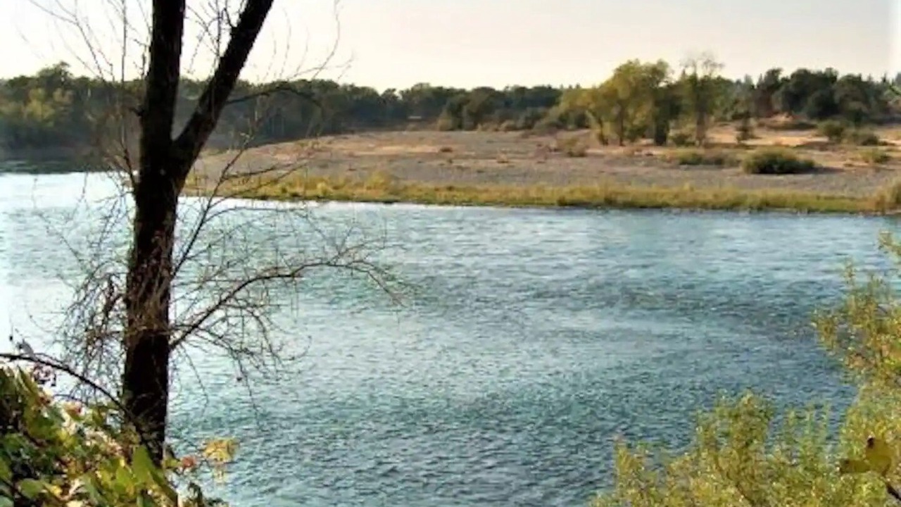 Photo of Others in Rancho Cordova