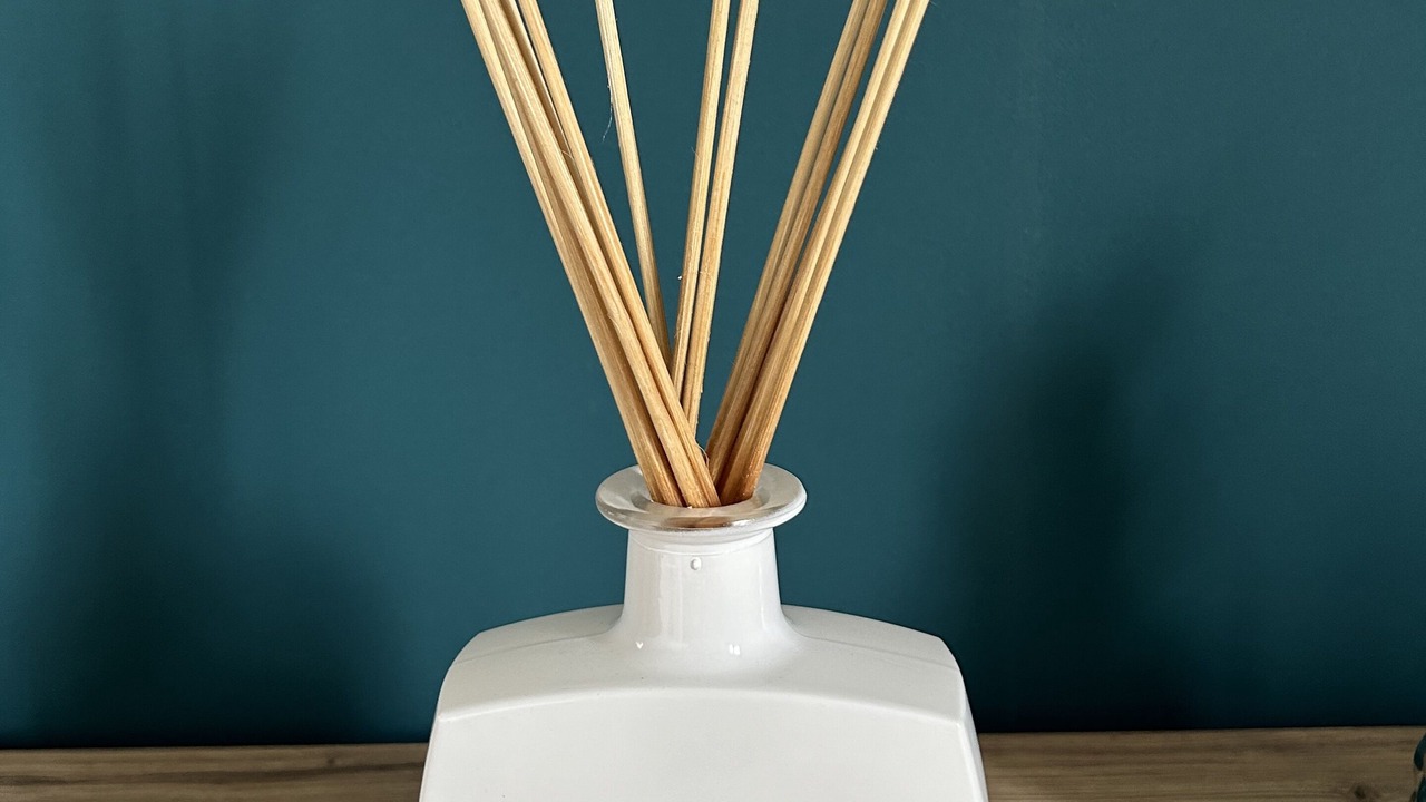 Photo of Others in Saint-Prest