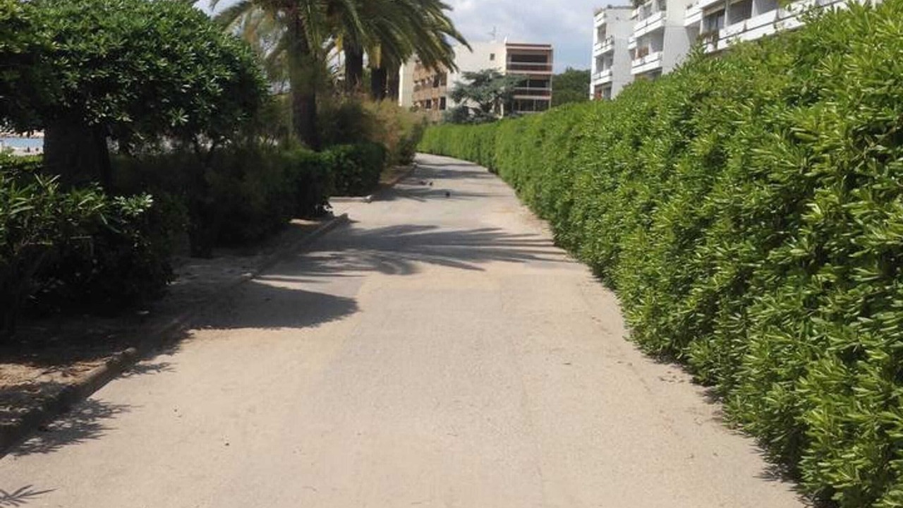 Photo of Others in Saint-Laurent-du-Var