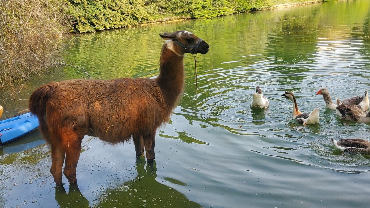 Photo of Others in Moulayres
