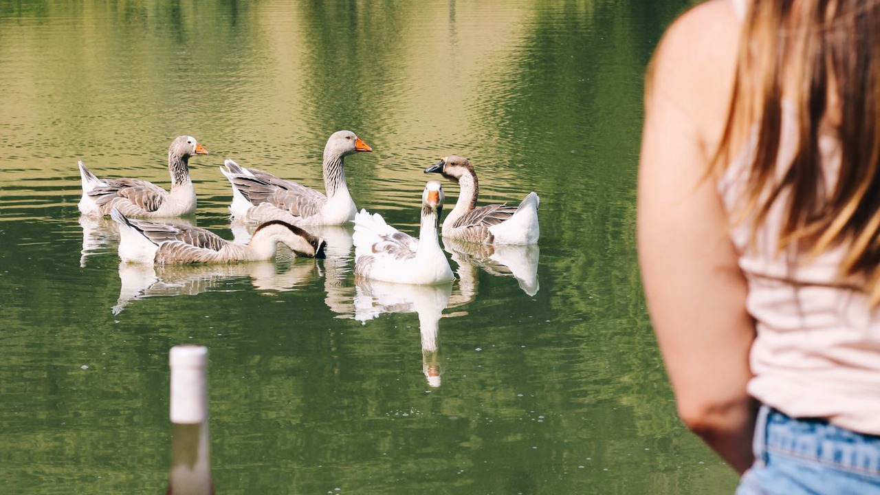 Photo of Others in Moulayres