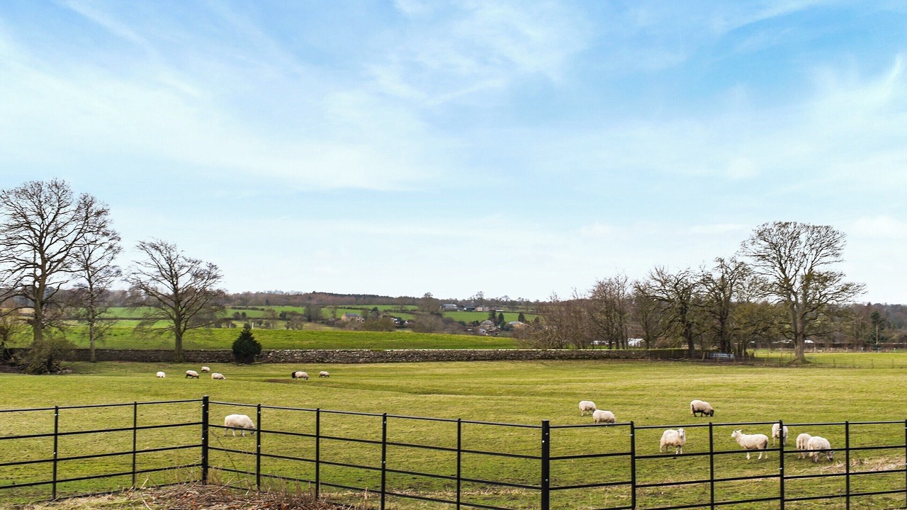 Photo of Outdoor in Barnard Castle