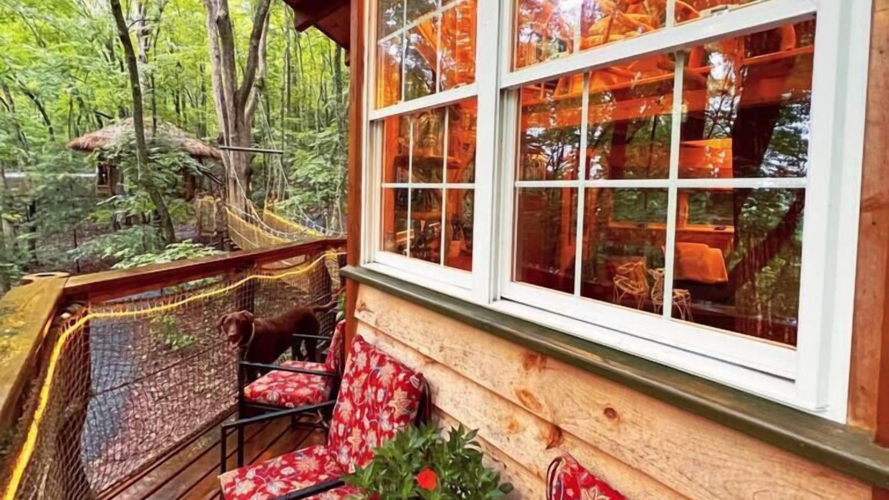 Photo of Outdoor in Copperhill