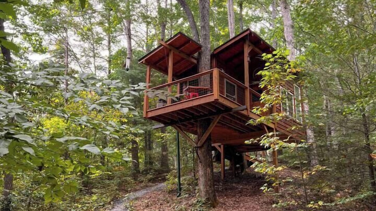 Photo of Others in Copperhill