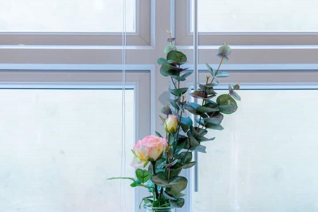 Photo of Others in Ramsgate