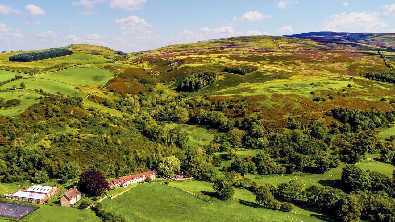 Photo of Others in Talkin