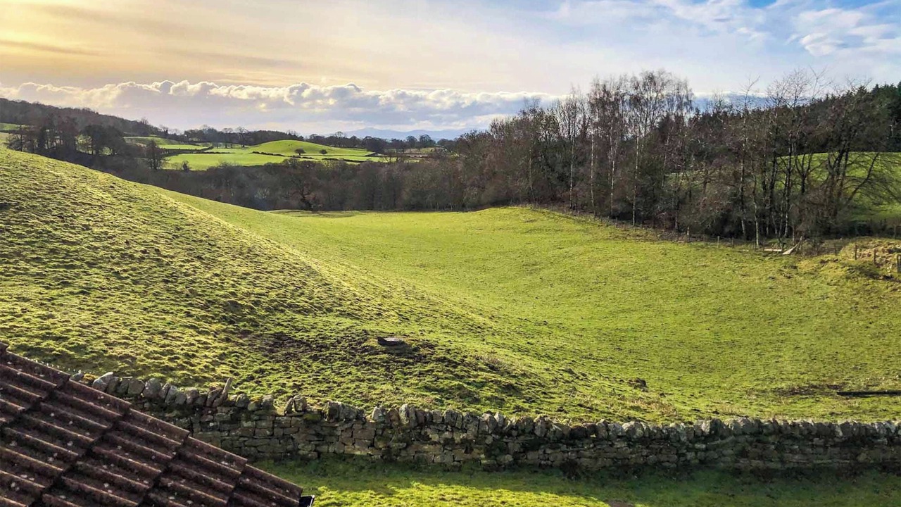 Photo of Others in Talkin