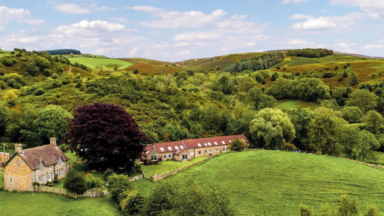 Photo of Others in Talkin