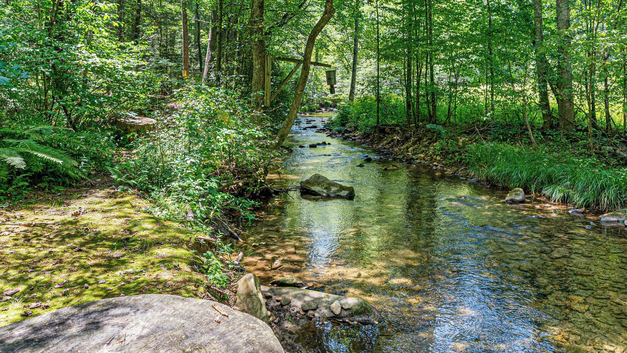 Photo of Others in Cherry Log