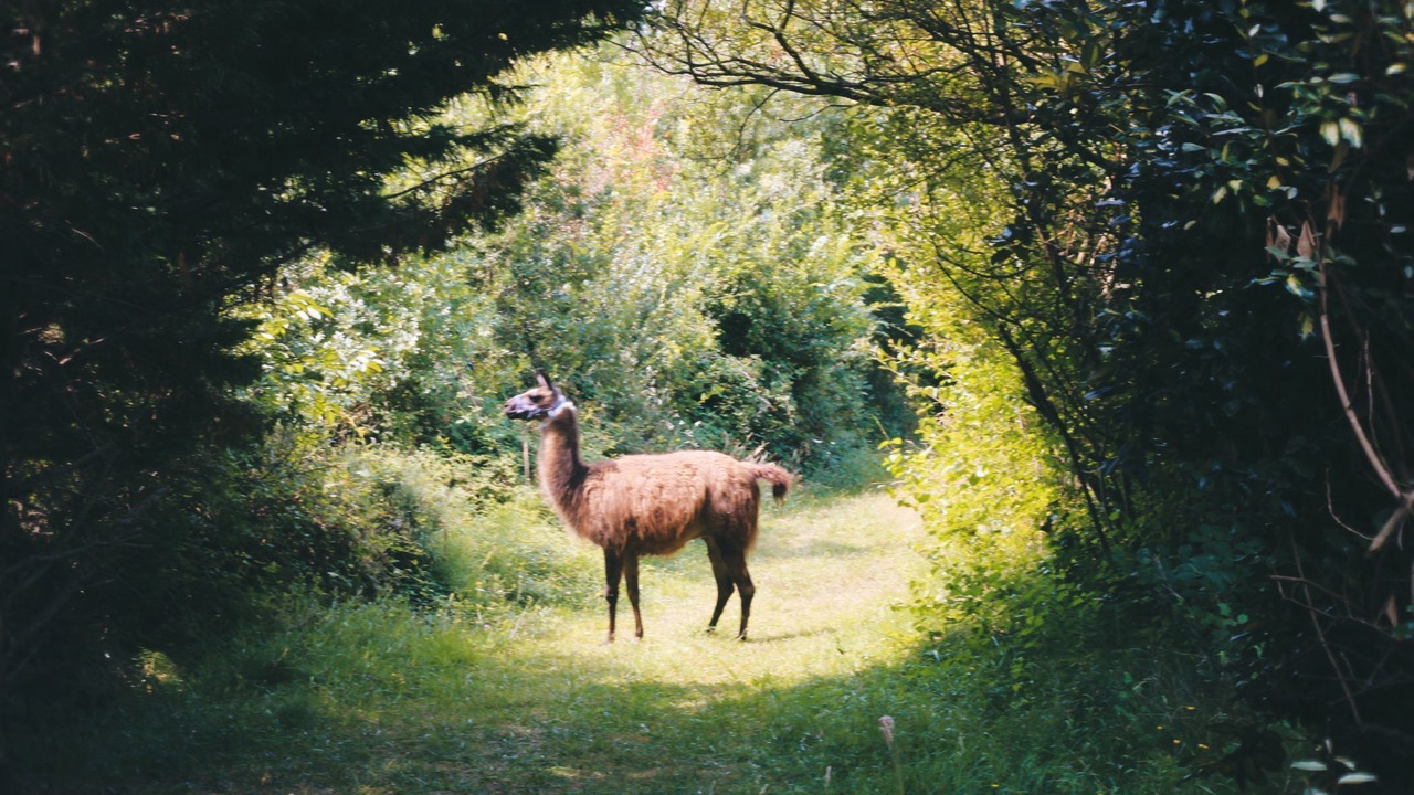 Photo of Others in Moulayres