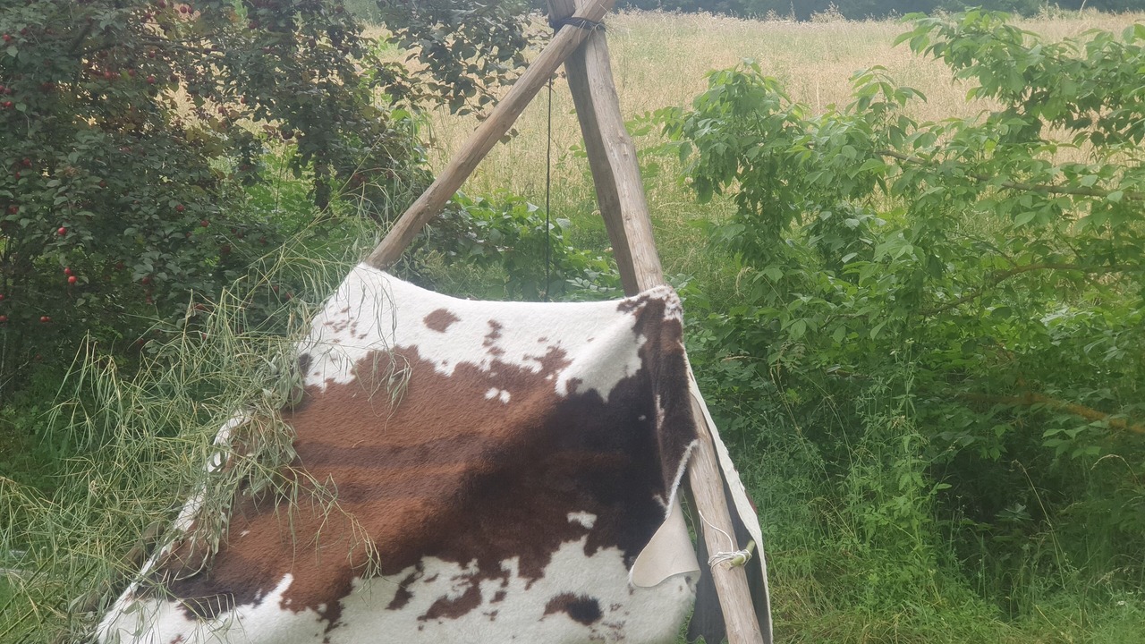 Photo of Outdoor in Moulayres