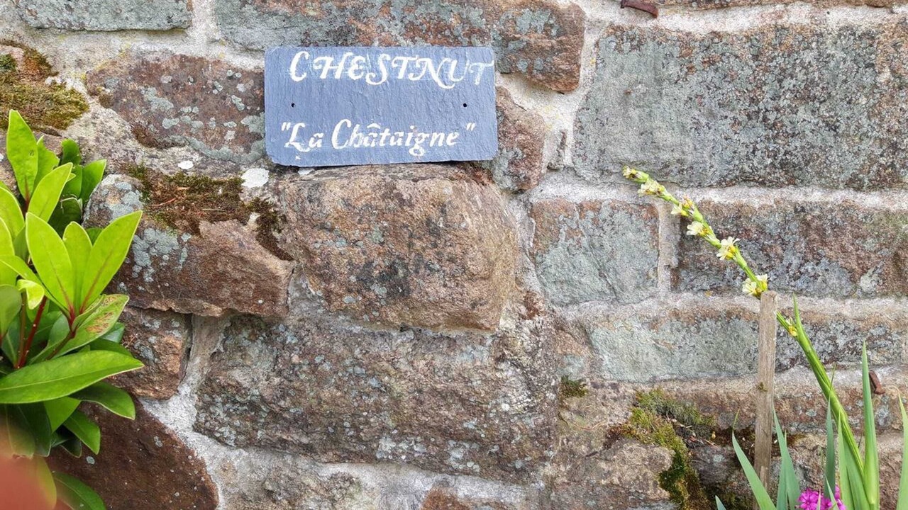 Photo of Outdoor in Langoelan