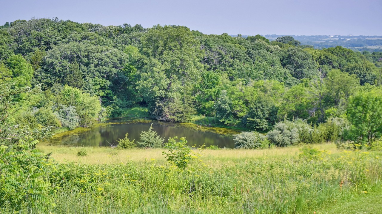 Photo of Others in Union County