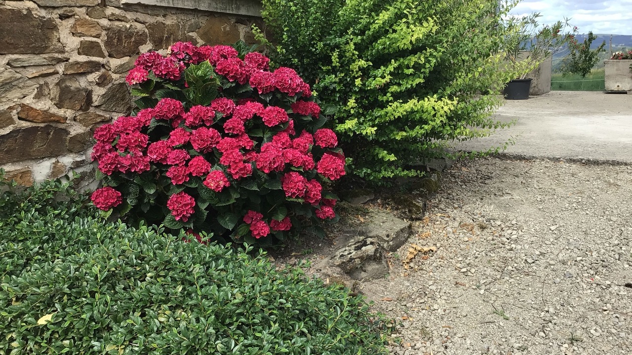 Photo of Outdoor in Livinhac-le-Haut