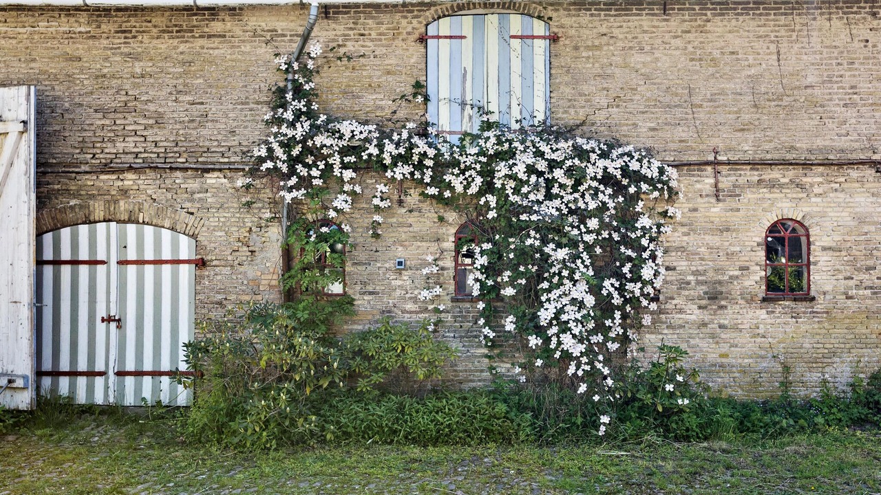 Photo of Others in Sønderborg