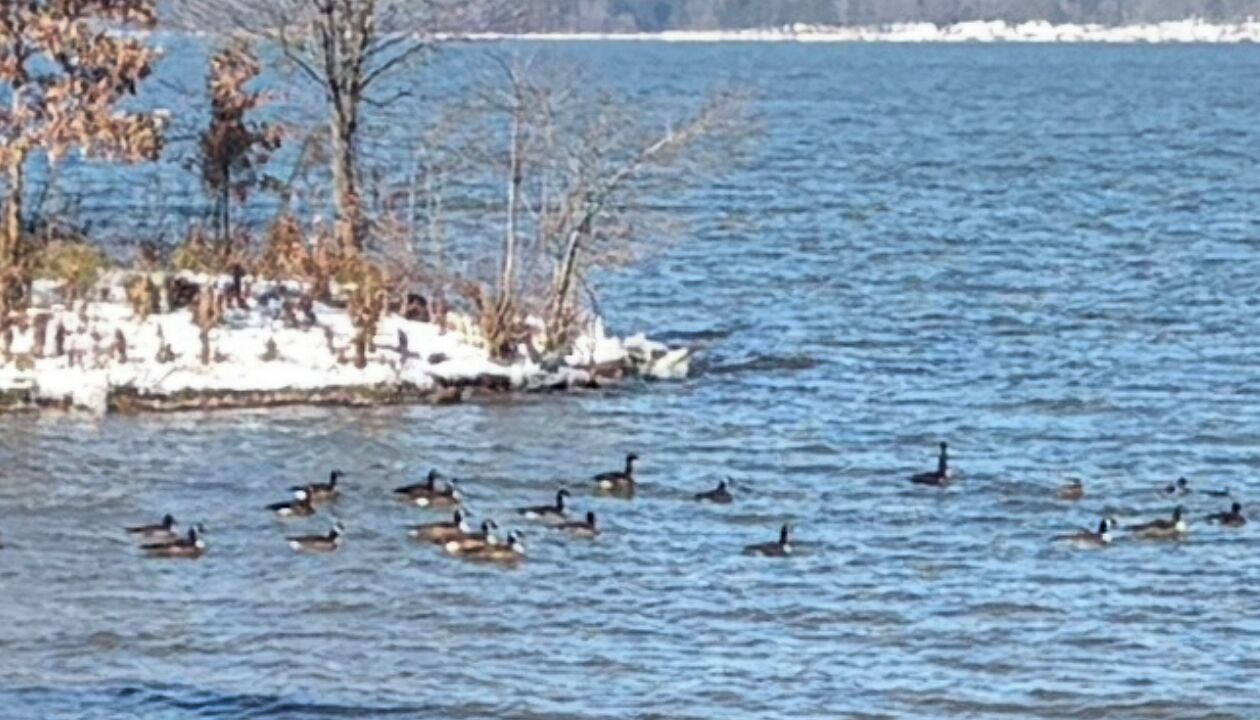 Photo of Others in Russellville